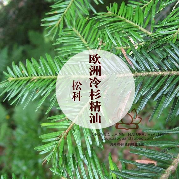 sadindriya欧洲冷杉精油10ml芳疗香薰按摩清幽松林清新空气振奋
