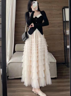高腰蛋糕裙半身裙女2025春秋新款 仙女裙a字百褶网纱裙设计感长裙