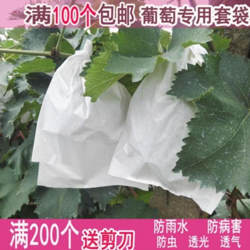 种植葡萄套袋果林包葡萄防水水果纸袋瓜果杨桃袋防鸟袋保护袋鸭梨在类目 鲜花速递/花卉仿真/绿植园艺, 园艺用品, 其它园艺用品中 - 来自Buy2taobao.com提供专业的淘宝代购服务