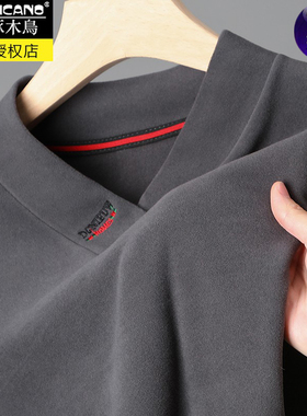啄木鸟2025新款男士长袖t恤V领秋衣德绒打底衫休闲上衣保暖内衣潮