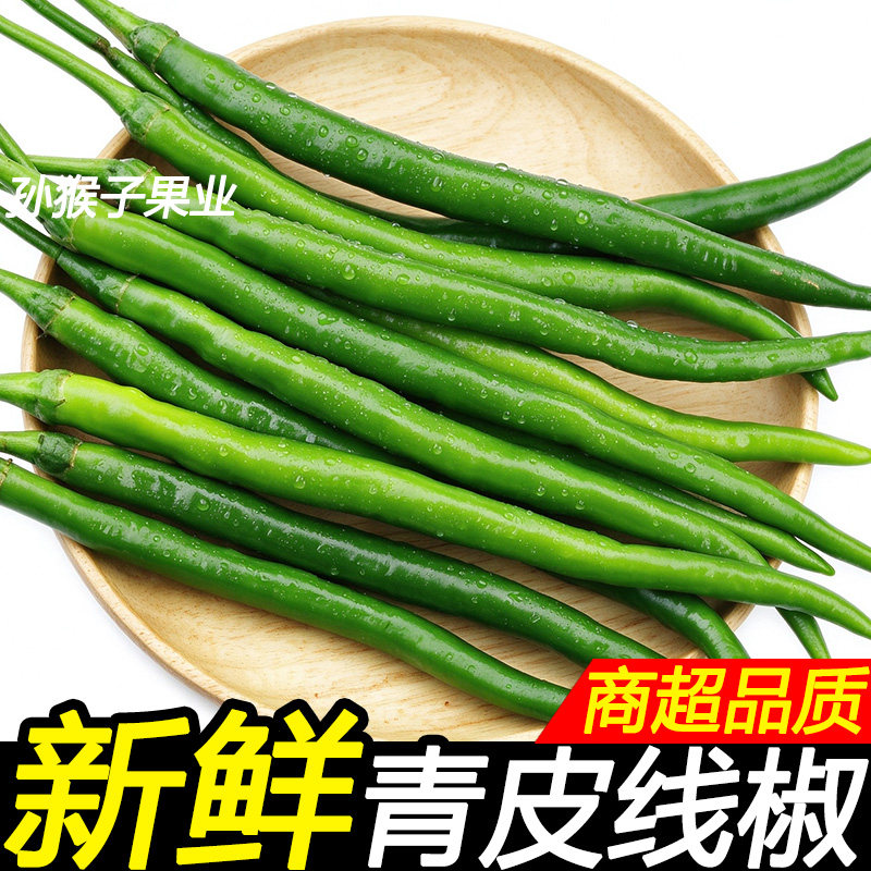 广西青皮线椒新鲜直发青脆香辣