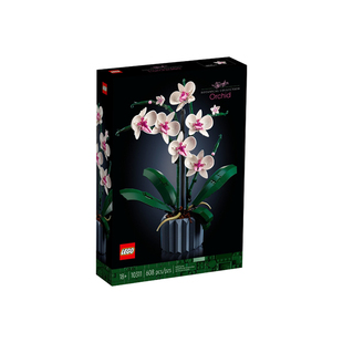 乐高10311兰花创意系列花卉永生花绿色植物益智拼搭积木玩具礼物