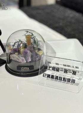 美容院专用高端logo牌皮肤管理水疗头疗私人定制LOGO立牌