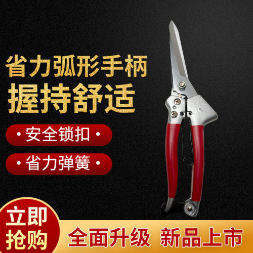 朱铁匠弹簧盆景尖头剪刀园林工具