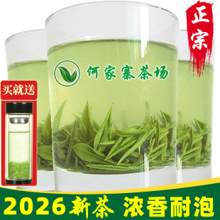 信阳毛尖2026新茶雨前茶一芽一叶散装 特级茶叶绿茶浓香型春茶500g