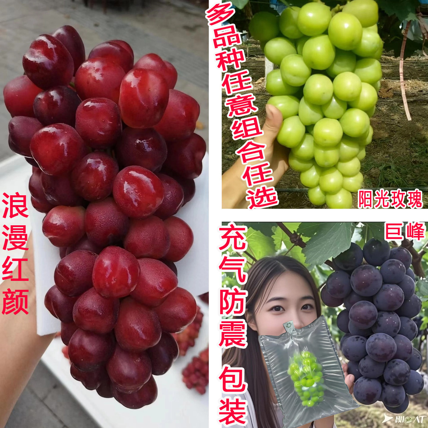 马陆葡萄无籽浪漫红颜巨峰葡萄