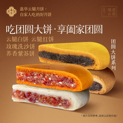 嘉华月饼滇式月饼组合云南特产零食小吃传统糕点中秋团圆大月饼