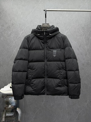 欧货2025年秋冬新款男士羽绒服