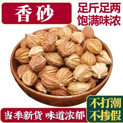 香砂香料包邮四川金砂仁调料