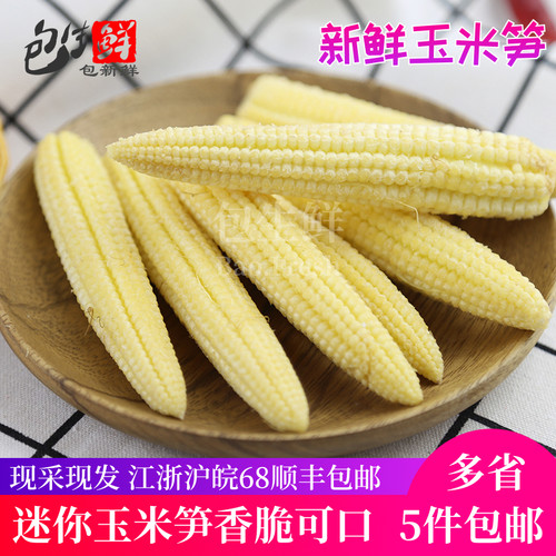 玉米笋新鲜价格 玉米笋新鲜图片 星期三