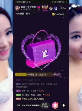 LV包包svga手机直播礼物 直播间送礼物 ae素材 mg动画 礼物转场