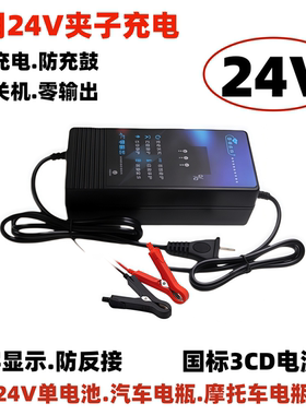 适用24V伏大功率汽车电瓶12AH20Ah60ah80Ah100Ah电池充电器鳄鱼夹