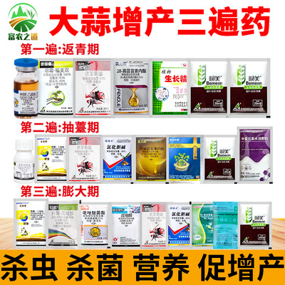 大蒜增产三遍药膨大农药杀菌剂