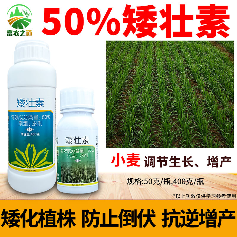 矮健50%矮壮素小麦专用农药正品