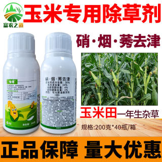 玉米苗后除草专用剂硝磺草酮烟嘧磺隆莠去津莠䒧津玉米地除草农药