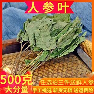 另售三七花山楂片人参花 中药材人参茎叶泡茶散装 包邮 人参叶500g