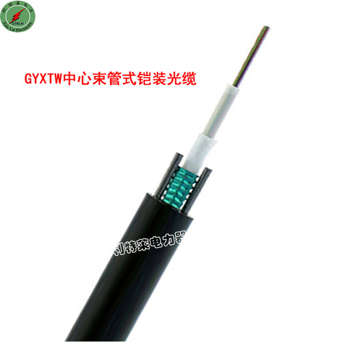 GYXTW6芯单模/中心束管式平行钢丝光缆 移动通信光缆
