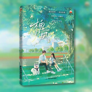 正版 槐风 暖糖 无虐青春治愈 番茄小说实体书双洁双初恋设定双向奔赴的青春言情情感小说书 痞帅奥赛学霸 带刺乖戾少女