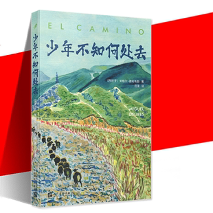 YS正版 少年不知何处去 西班牙的《边城》 发现童年时的自己 重建被现代技术残酷歼灭的世界 童年的世界 塞万提斯奖得主德利韦斯