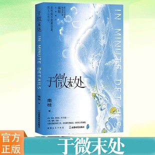 YS正版 于微末处 网络原名《微检》南枝著 更文20年的晋江老牌作家内陆出版 暖文读者的避风港 医疗文的绝唱