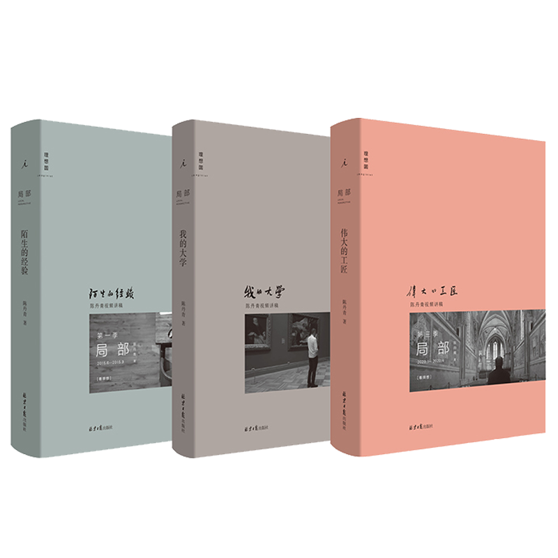正版 陈丹青局部套装1-2-3 陌生的经验(新版)+我的大学+伟大的工匠 美学中西艺术理论的书籍 西方艺术史纽约琐记退步集 理想国