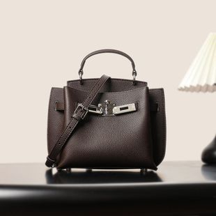 女大容量包包简约bags高级感女士2025斜挎C家凯莉单肩包包高版本