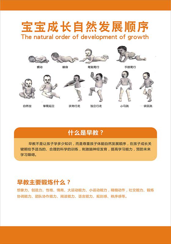 770宝宝成长自然发展顺序示意图什么是早教介绍挂图海报印制1520