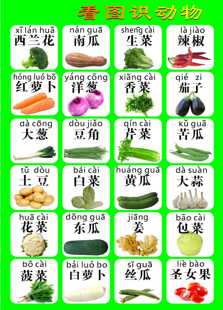 585薄膜海报印制展板喷绘写真494幼儿启蒙看图识蔬菜