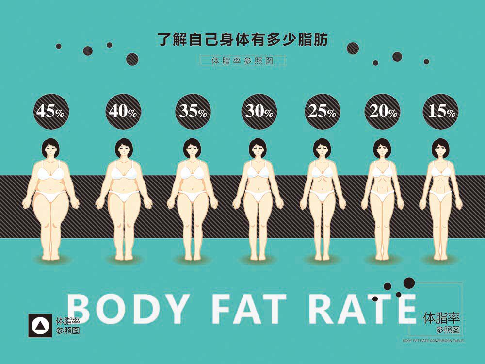 770体脂率对比图解健身房装饰上墙贴纸挂图写真展板海报印制1373