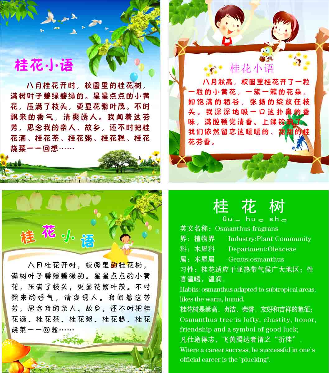 209画布海报展板喷绘贴纸素材1218桂花树简介