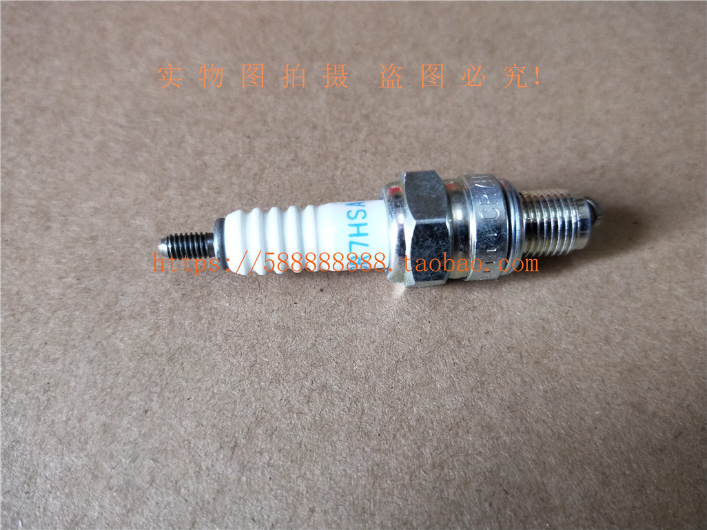 新大洲本田TODAY自由50世纪梦、天涯丽人、原车火花塞CR7HSA原厂