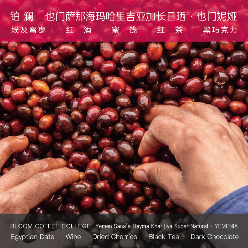 铂澜也门咖啡豆高甜手冲咖啡