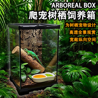 爬宠玻璃缸睫角守宫饲养箱