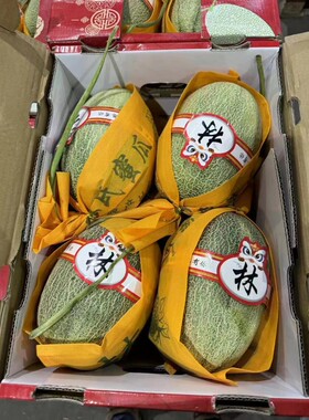 沈阳发货林氏哈密瓜小蜜瓜4粒甜脆辽宁包邮