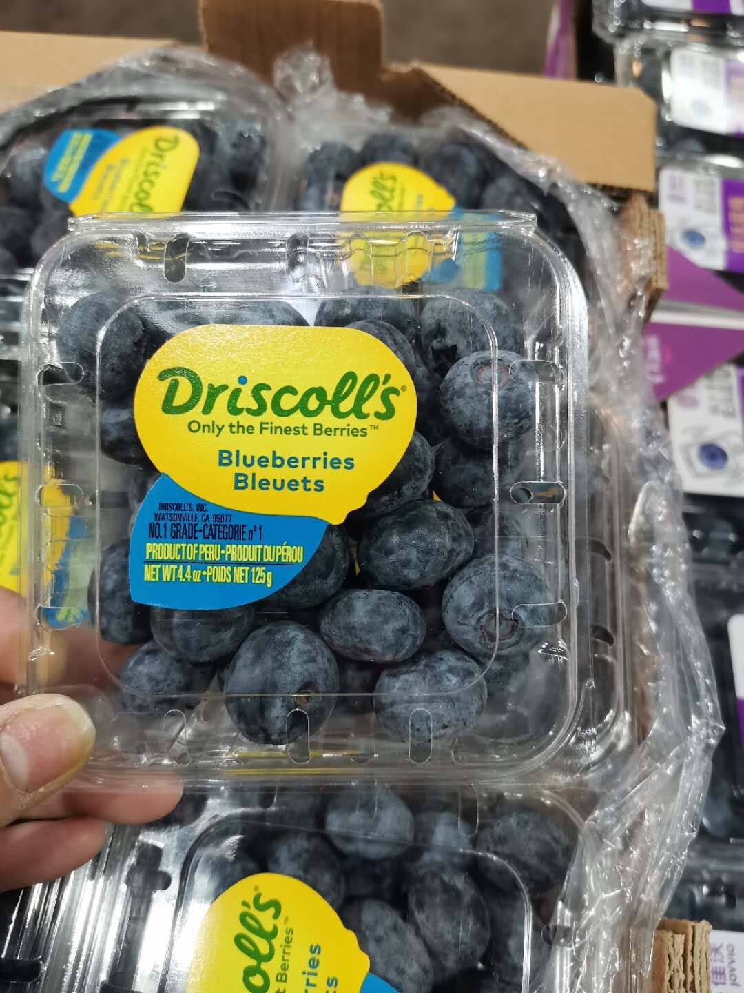 云南一颗莓怡颗莓蓝莓纯甜限量版新鲜宝宝水果12盒辽宁包邮