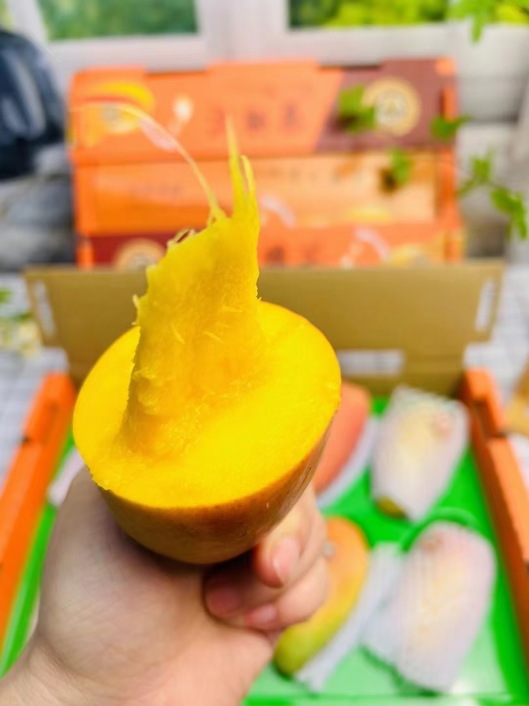 沈阳发货海南蜜蜂芒果礼盒贵妃纯甜多汁新鲜辽宁包邮