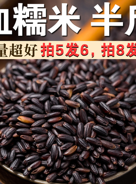 血糯米250g新米黑糯米粘糯米五谷杂粮米粗粮米黑黏米煲粥熬粥A