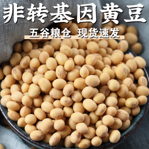 非转基因黄豆1/3/5斤呆呆菇娘