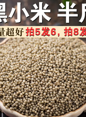 黑小米250g农家自种小黑米五谷粗粮黑小米早餐粥煮稀饭米小米粥A