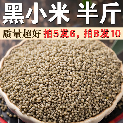 黑小米250g农家自种小黑米五谷粗粮黑小米早餐粥煮稀饭米小米粥A
