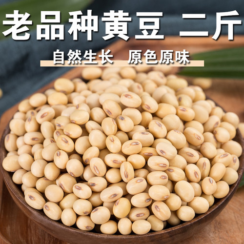 【2斤】非转基因黄豆老品种黄豆笨黄豆土黄豆黄大豆煲汤豆浆原料