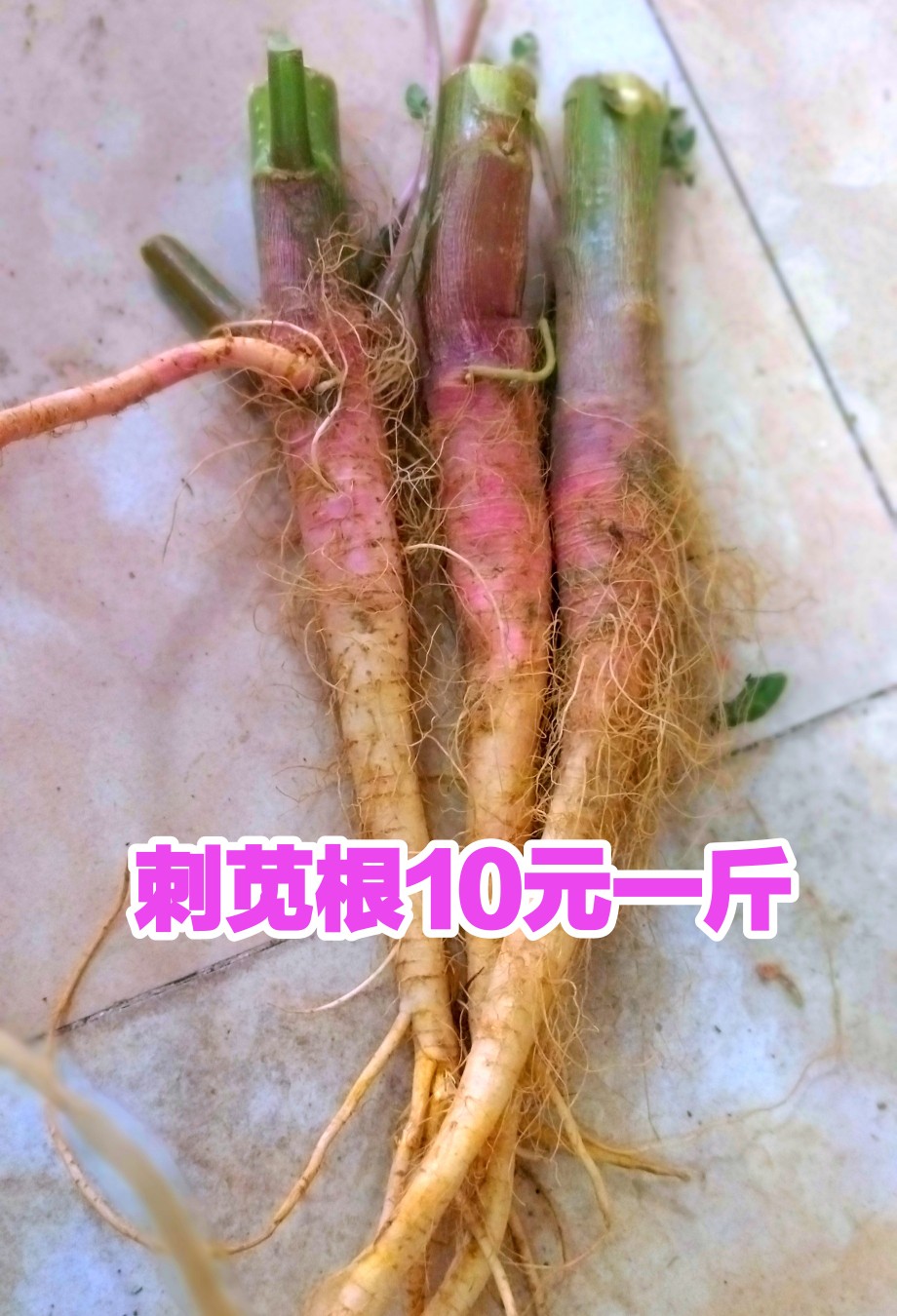 野刺苋根带刺汉菜新鲜红梗菜