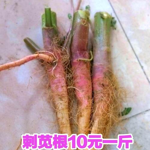 野刺苋根带刺汉菜新鲜红梗菜