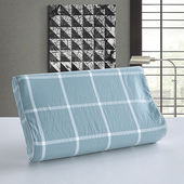 四季 纯棉乳胶枕套水洗棉60x40成人儿童记忆50x30枕头套一对装 家用