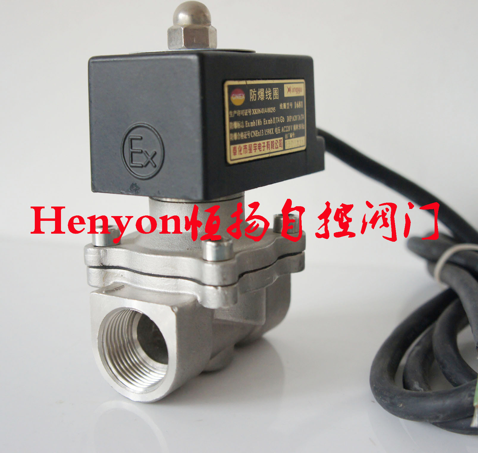 DN20耐腐蚀防爆电磁阀EX-2W200-20B防爆6分不锈钢电磁阀 水阀