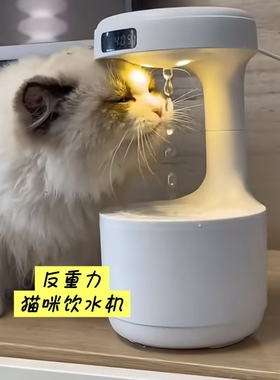 猫咪饮水机自动循环过滤静音流动水反重力式恒温补水神器宠物通用