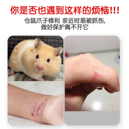 抓鼠夹防抓仓鼠捕鼠夹金丝熊夹子喂食夹加厚仓鼠可爱防咬