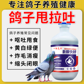 新腺快好鸽子新城疫腺并独圆环甩头炸毛拉黄白绿水便