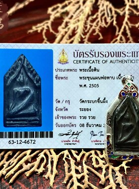 贝叶泰佛2505龙婆塔黑色坤平小模含多款壳及萨玛空卡包邮泰国特色