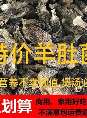 羊肚菌干货头茬肉厚香味足干度炖汤滋补炖汤口感好破碎丑菇